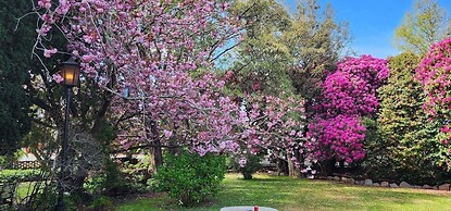 Anabel's of Scottsdale