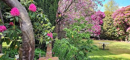 Anabel's of Scottsdale