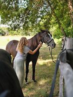 Ferme Saint-Georges en Provence