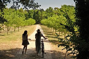 Ferme Saint-Georges en Provence