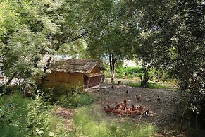 Ferme Saint-Georges en Provence