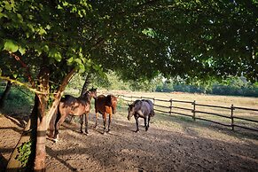 Ferme Saint-Georges en Provence