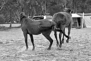 Candlelight Country Experience