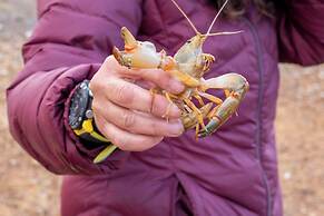 Candlelight Country Experience