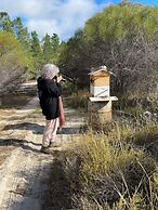 Candlelight Country Experience