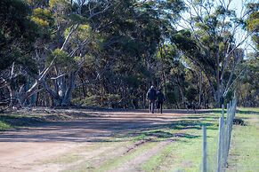 Candlelight Country Experience