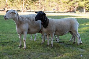 Candlelight Country Experience