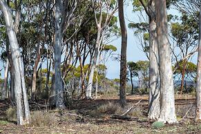 Candlelight Country Experience