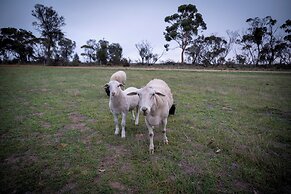 Candlelight Country Experience