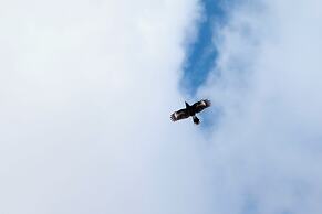 Candlelight Country Experience