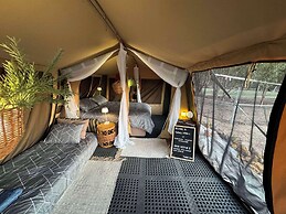 Candlelight Country Experience