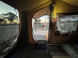 Candlelight Country Experience