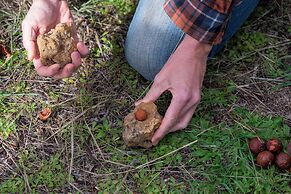 Candlelight Country Experience