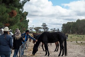 Candlelight Country Experience