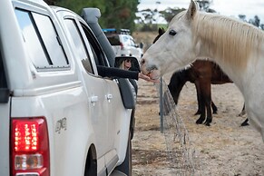 Candlelight Country Experience