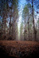 Candlelight Country Experience