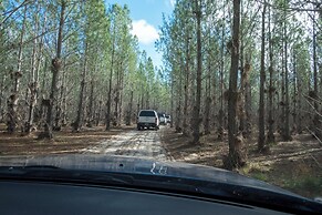 Candlelight Country Experience