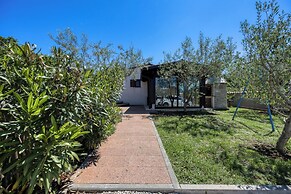 House Stella Nature