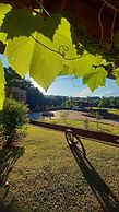 Villaggio dos Vinhedos