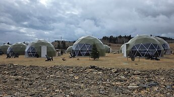 The Nest at Black Hawk