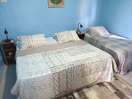 AMAZON HOME AND JUNGLE TRIPS