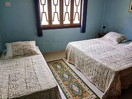 AMAZON HOME AND JUNGLE TRIPS