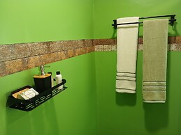 AMAZON HOME AND JUNGLE TRIPS