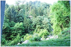 Dalhousie Hotel Paradise Hill View