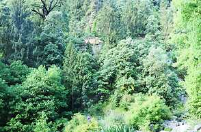 Dalhousie Hotel Paradise Hill View