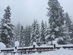 Trappers Crossing 8769