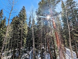 Trappers Crossing 8769