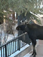 Hidden River Lodge 5965