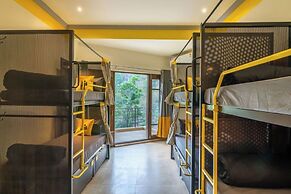 The Hosteller Kasauli