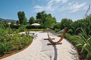 Villa Forte dei Marmi Pool & Garden