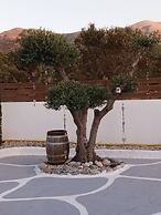 Boho Sisi Resort - Poolside Oasis Garden Vibes