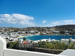 Mimoza Collection suites