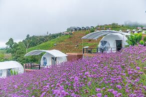 The View Homestay Monjam