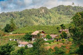 Hill Safari Eco Lodge