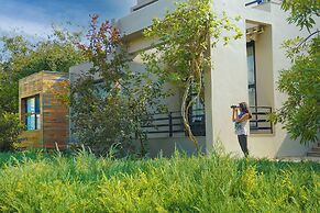 The Golden Tusk By Ivory Destinations