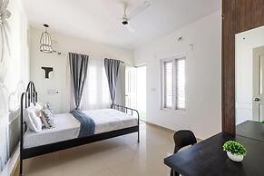 Golden Ivory by Red Oliveacnrairporthennur