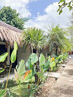 Alfa Kuta
