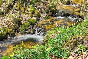 Hike, Fish & Ski: Black Bear Cabin in Albany
