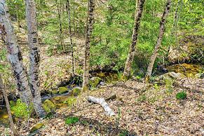 Hike, Fish & Ski: Black Bear Cabin in Albany