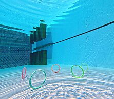 Banana Resort le Petit nid de Caro