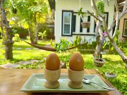 Banana Resort le Petit nid de Caro