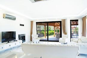 BD4140 by İmportant Group Travel