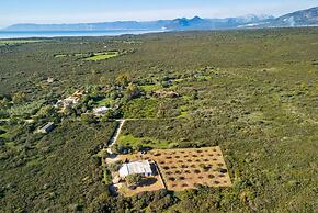 Authentic Sardinian Villa Surrounded by Nature