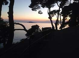 Wonderful Apartment Biserka Near the Beach