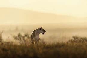 The Ritz-Carlton, Masai Mara Safari Camp