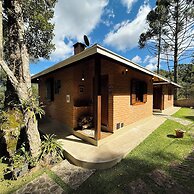 Flores da Mantiqueira